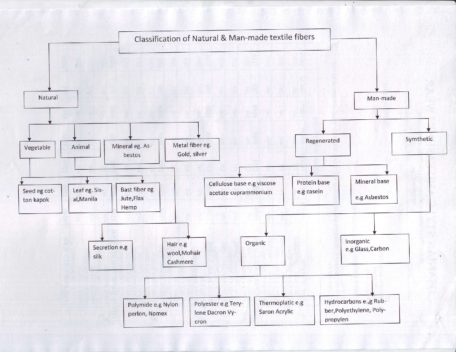 Carrier in Apparel Merchandising
