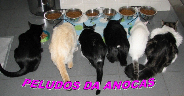 Peludos da Anocas