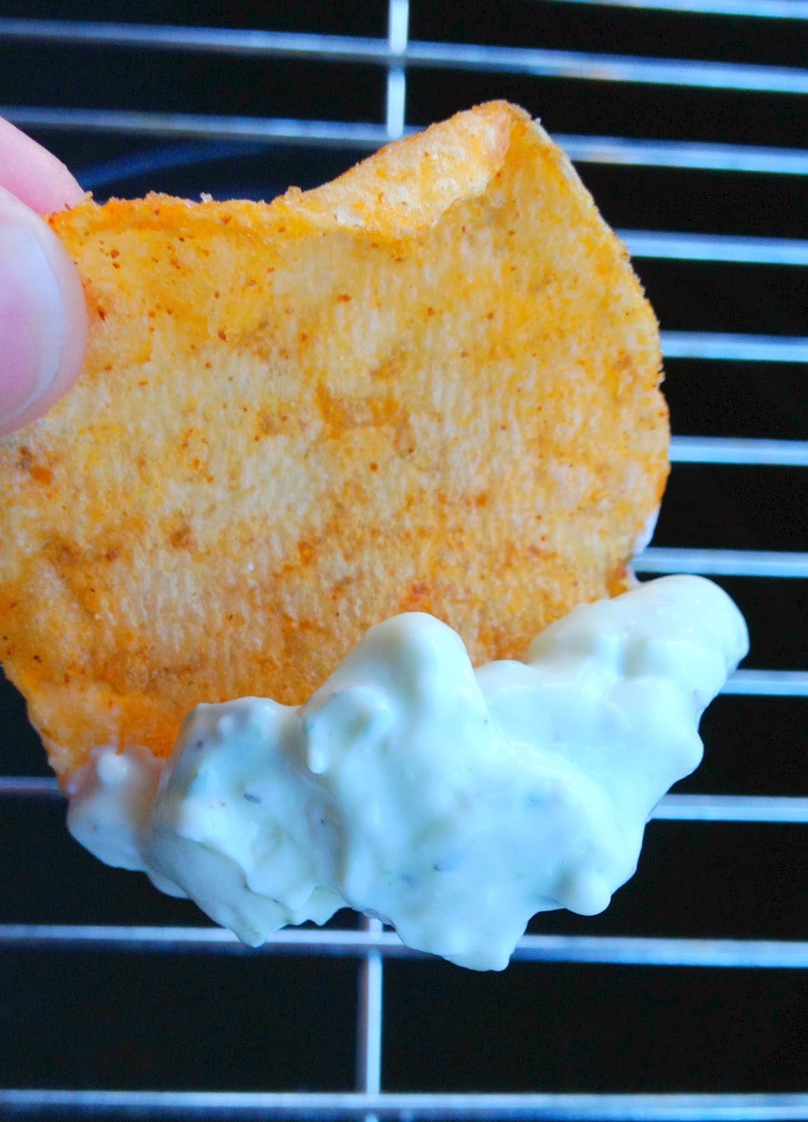 Jac o' lyn Murphy BBQ Chip Dip