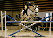 Salon du cheval, Lyon 2008