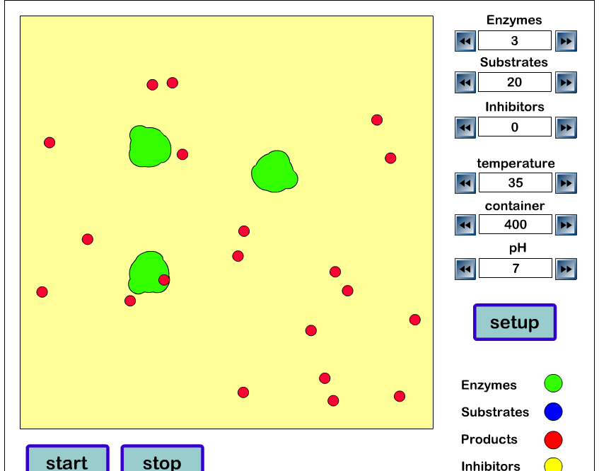 Enzymes Online Simulations VCE Biology