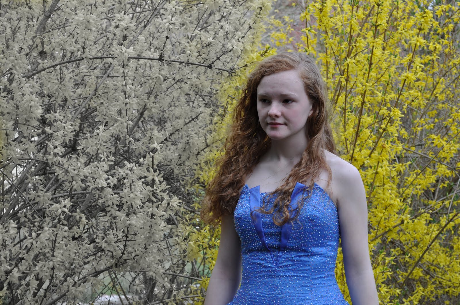 Catchlight No.5 Erin Lindsey "In dreams, we enter a world that's entirely our own." Steven