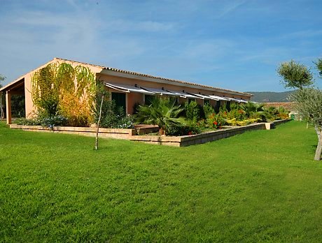 ARTE Y JARDINERÍA : Césped con bajo consumo de agua. Criterios y