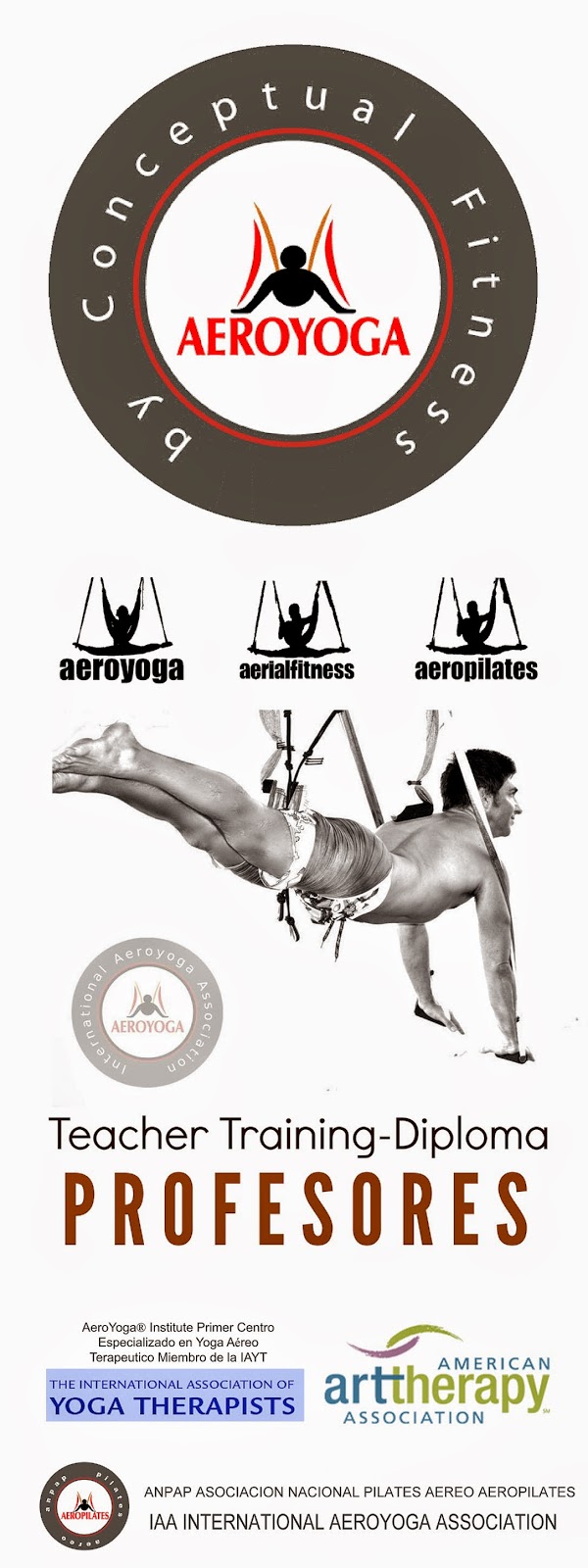 CURSOS FORMACION YOGA AEREO Y PILATES AEREO, UNICOS AVALADOS POR LA ANPAP Y LA IAA,UNICAS ASOCIACIONES NACIONALES E INTERNACIONALES QUE OFRECEN EL DIPLOMA OFICIAL AEROYOGA® , UNICO DIPLOMA OFRECIDO POR RAFAEL MARTINEZ, HOMOLOGADO INTERNACIONALMENTE formacionyogaaereoandalucia.es