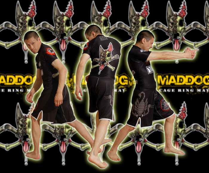 Apparel review Mad Dog Custom Designed Rash Guard Meerkatsu's Blog