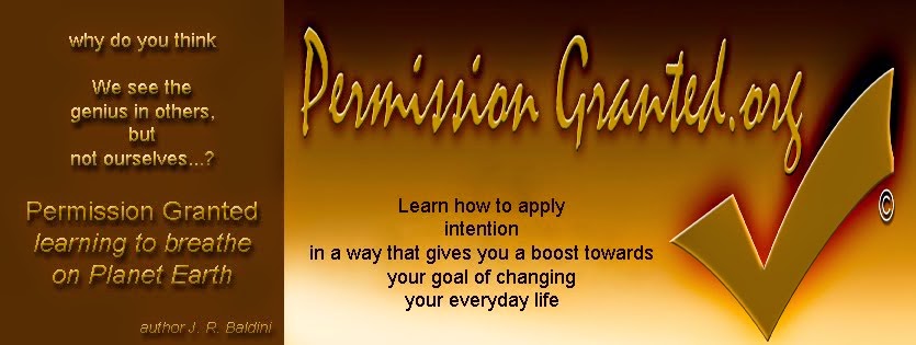 Permission Granted - learning to breathe on Planet Earth - a book about change