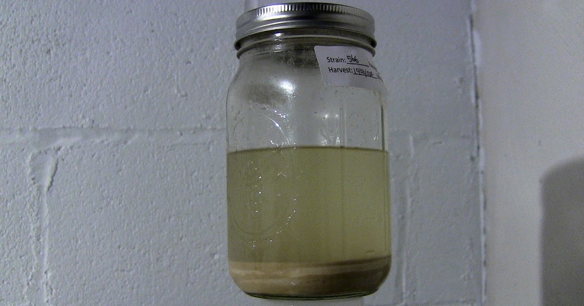 Woodland Brewing Research Yeast Washing Exposed