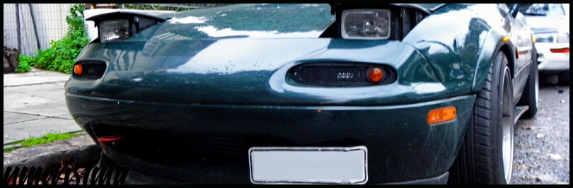 [Immagine: PC220581.JPG]