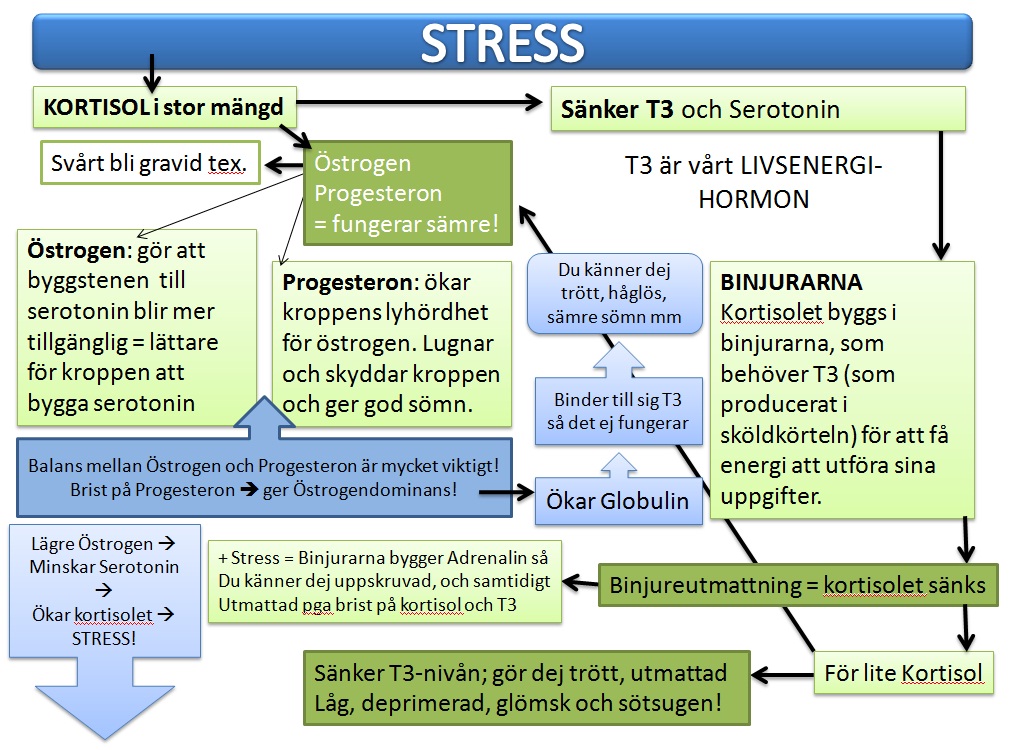dejtingsajter pannkaka lchf