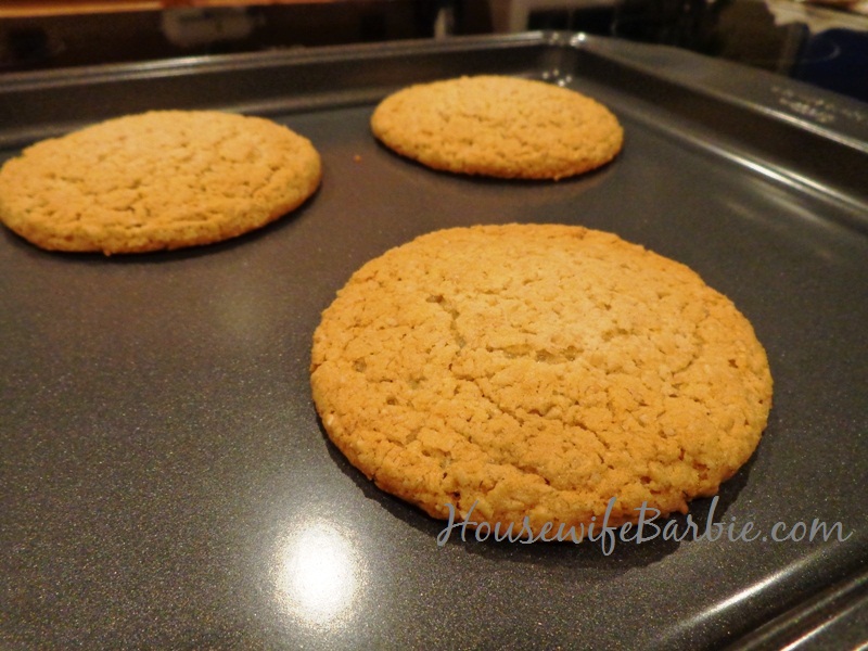 An American Housewife Homemade Oat Bran Cookies (Or; Oatmeal Cookies!)