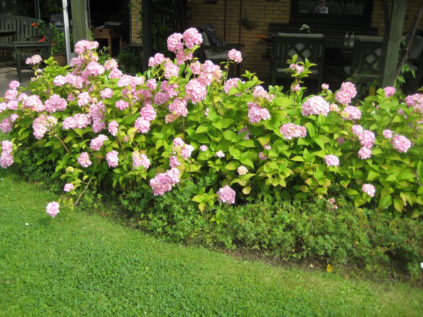 Blomsterbede inspiration ~ hjemme design og møbler ideer