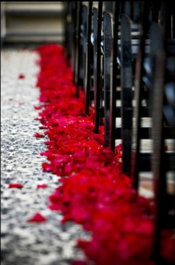 It S Your Day Flowers Classic Red Roses