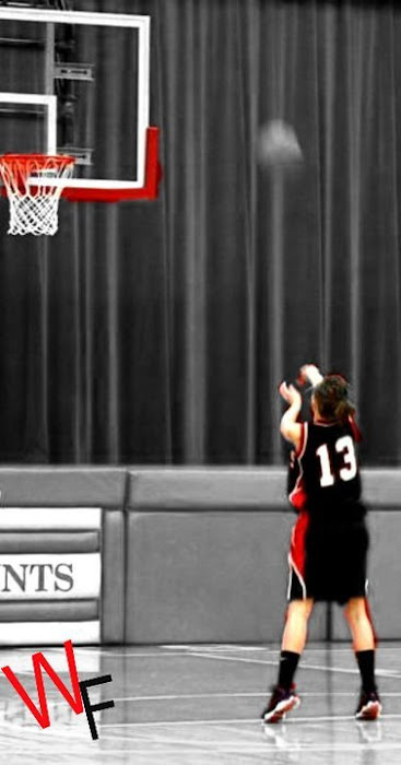 Allysa in basketball