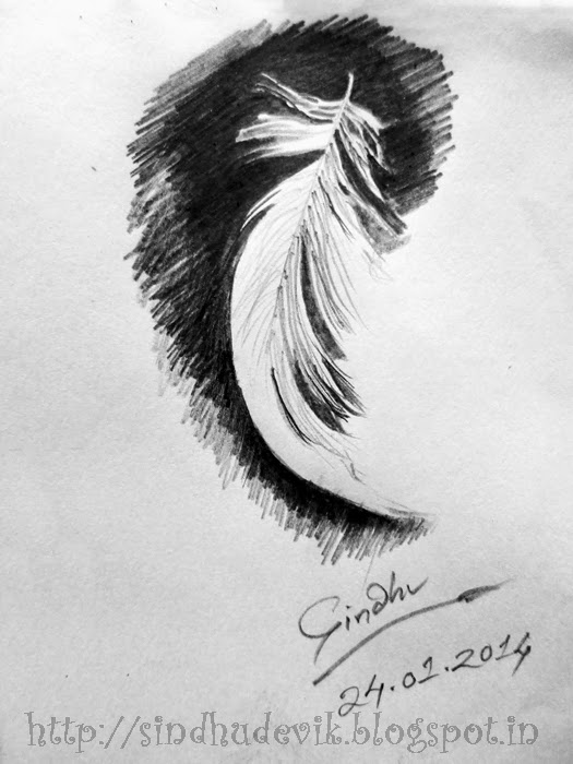 A Feather - A Pencil Sketch