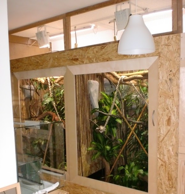 Terrarien Tagebuch: Mein Chamäleon-terrarium