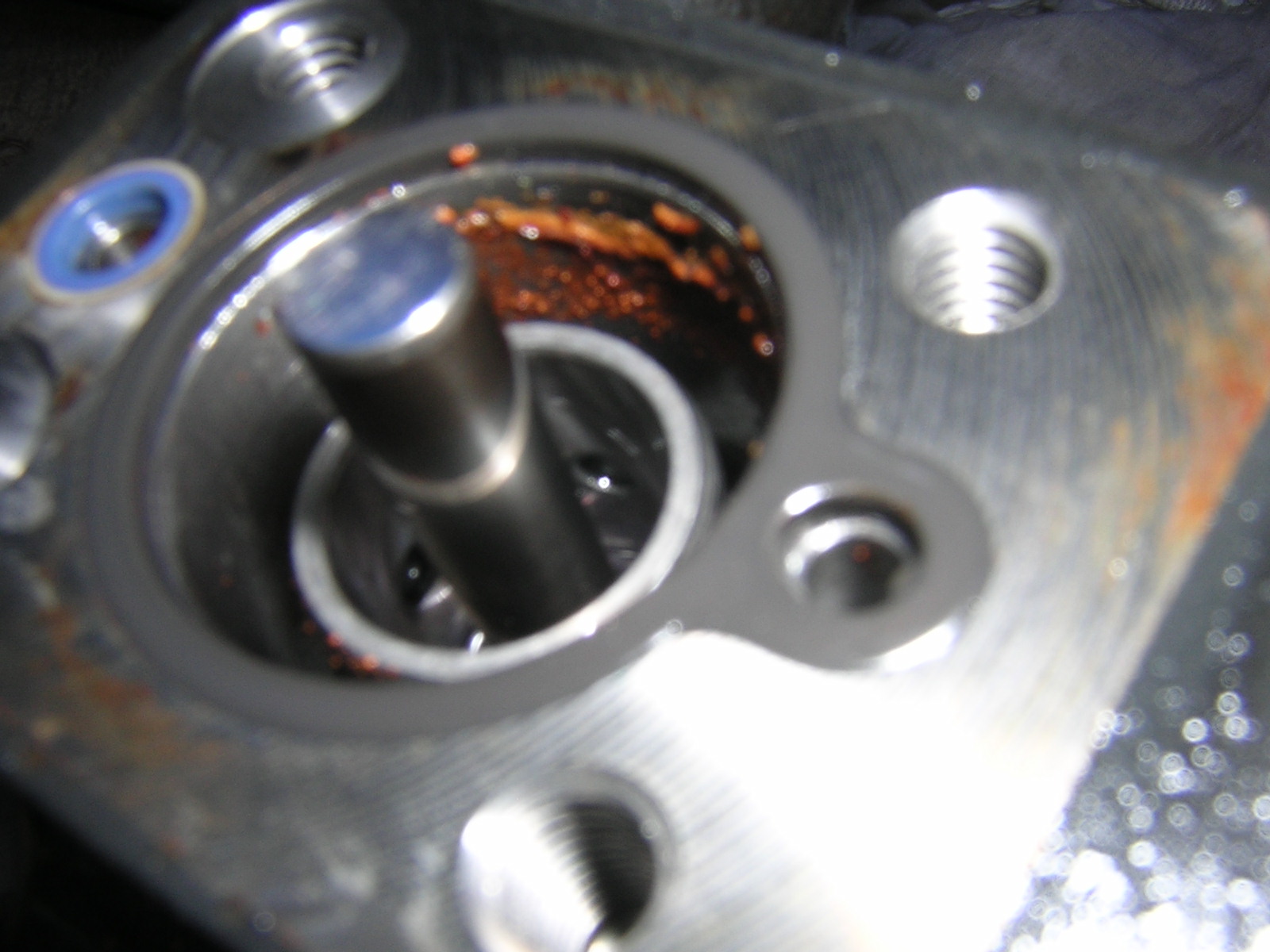 Ford Focus Club / Форд Фокус Клуб / FFClub