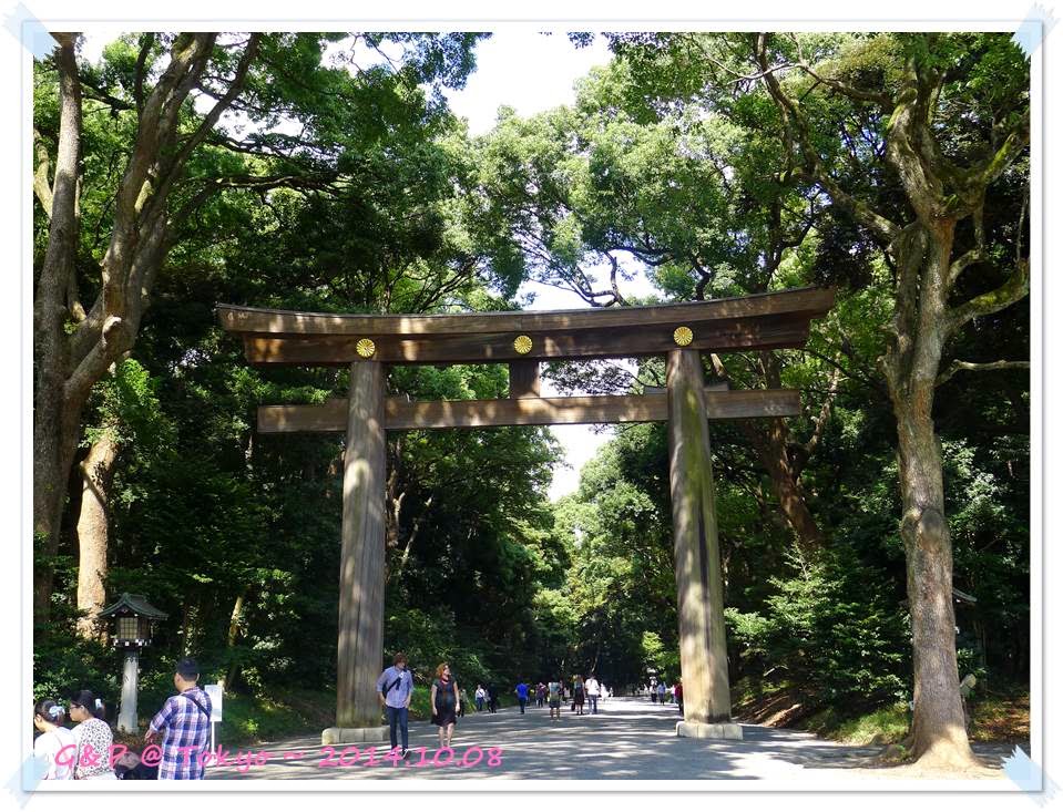 Travel Life 訪友 輕旅行 下 Tokyo Japan 表參道 明治神宮 渋谷 代代木競技場 十字路口 新宿 山頭火 東京都廳