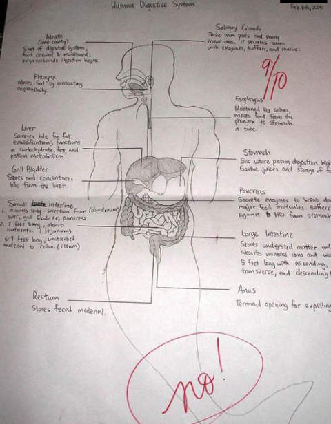 funny exam answers. Laughing Vault - Funny