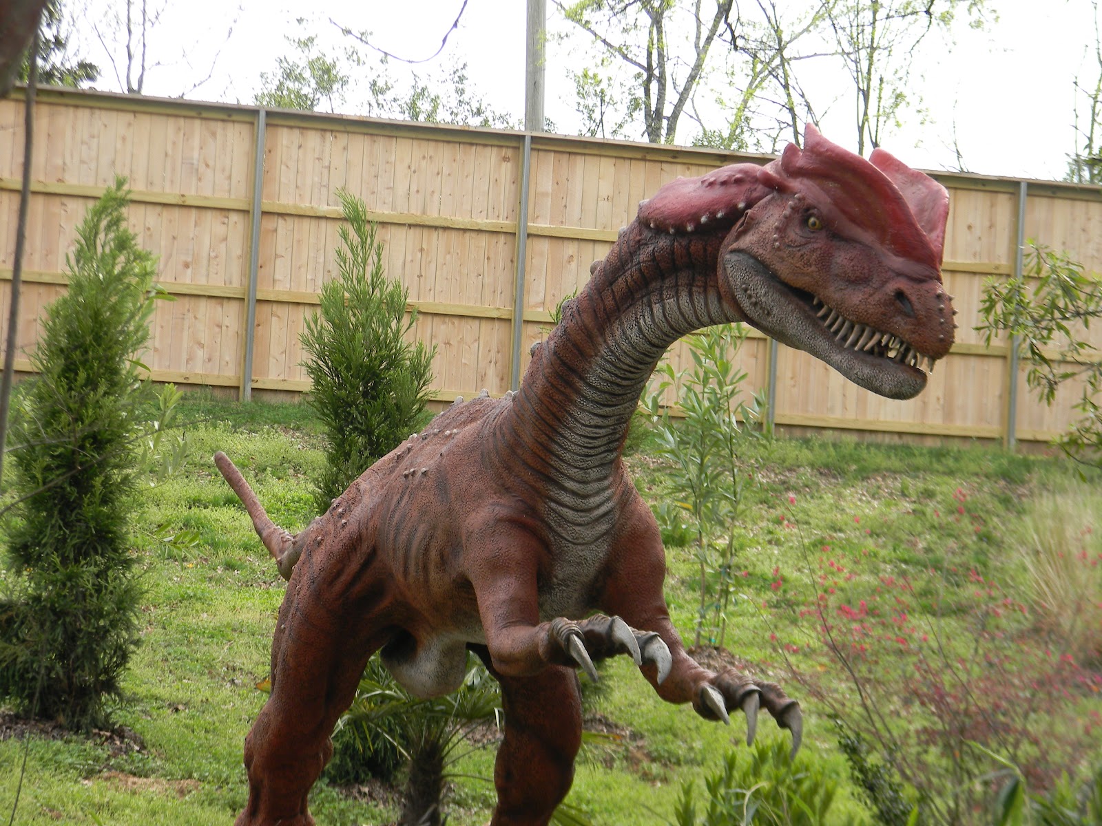 Mothers Of Memphis Dinosaur Exhibit at the Memphis Zoo!! My Review