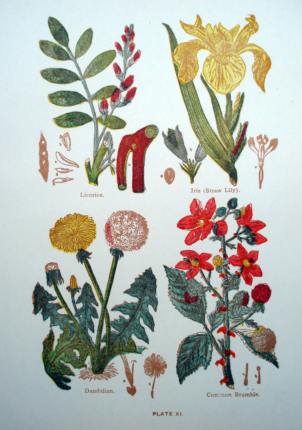 Wisdom From Above&hellip;For Cancer Newage