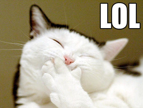lol_cat-12926.jpgi