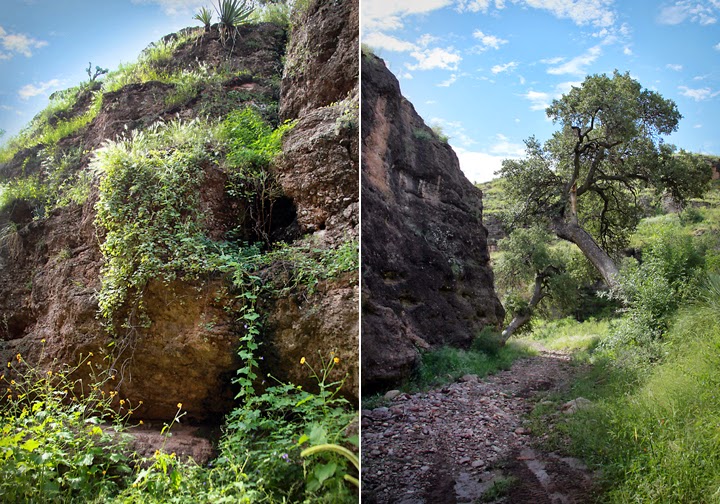 The Spaghetti Blog Pena Blanca Canyon Trail