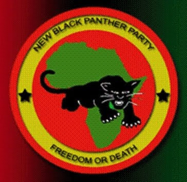 The Black Panthers' Flag