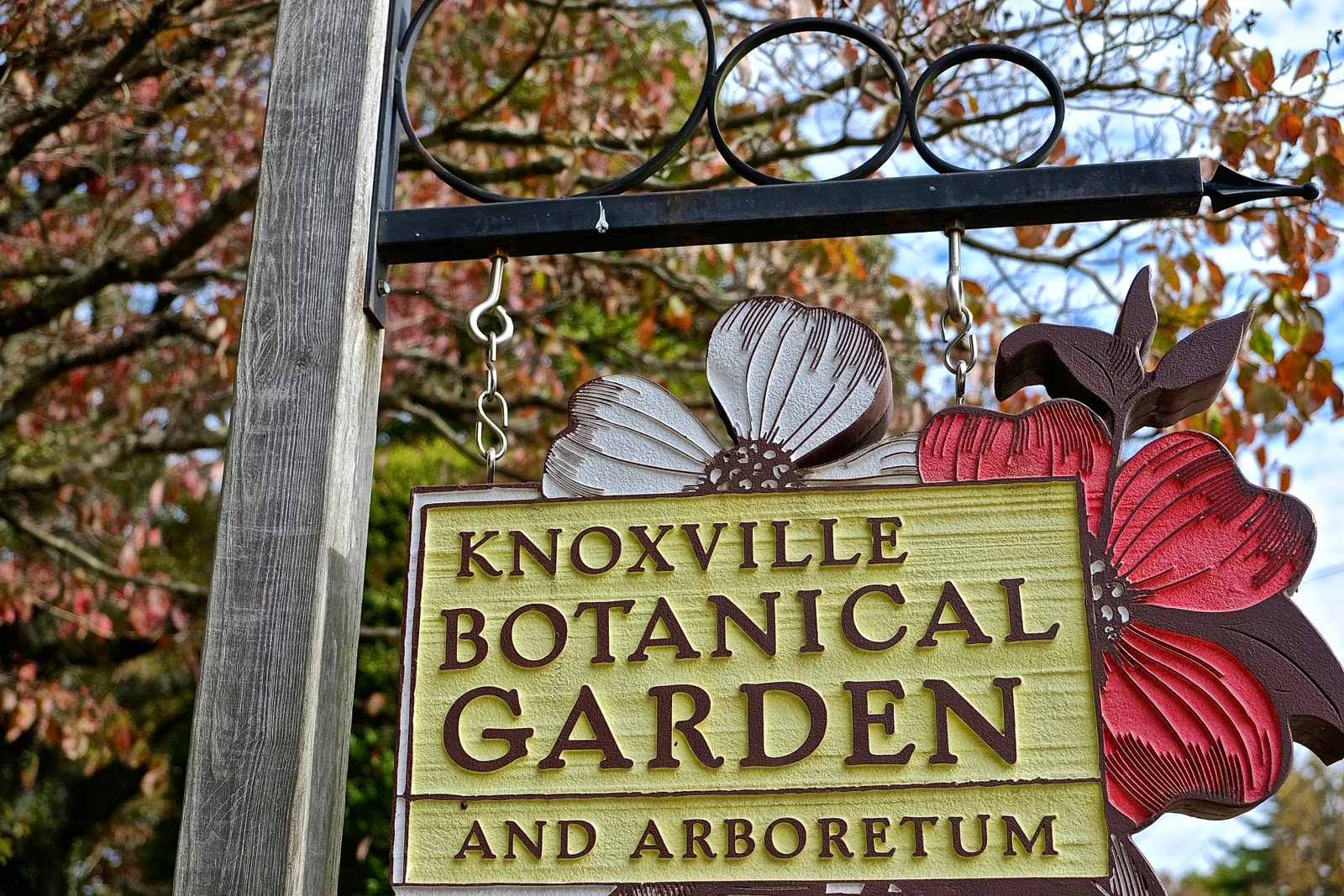 Andrea and Guido Across the U.S., Day 18 Knoxville (TN)