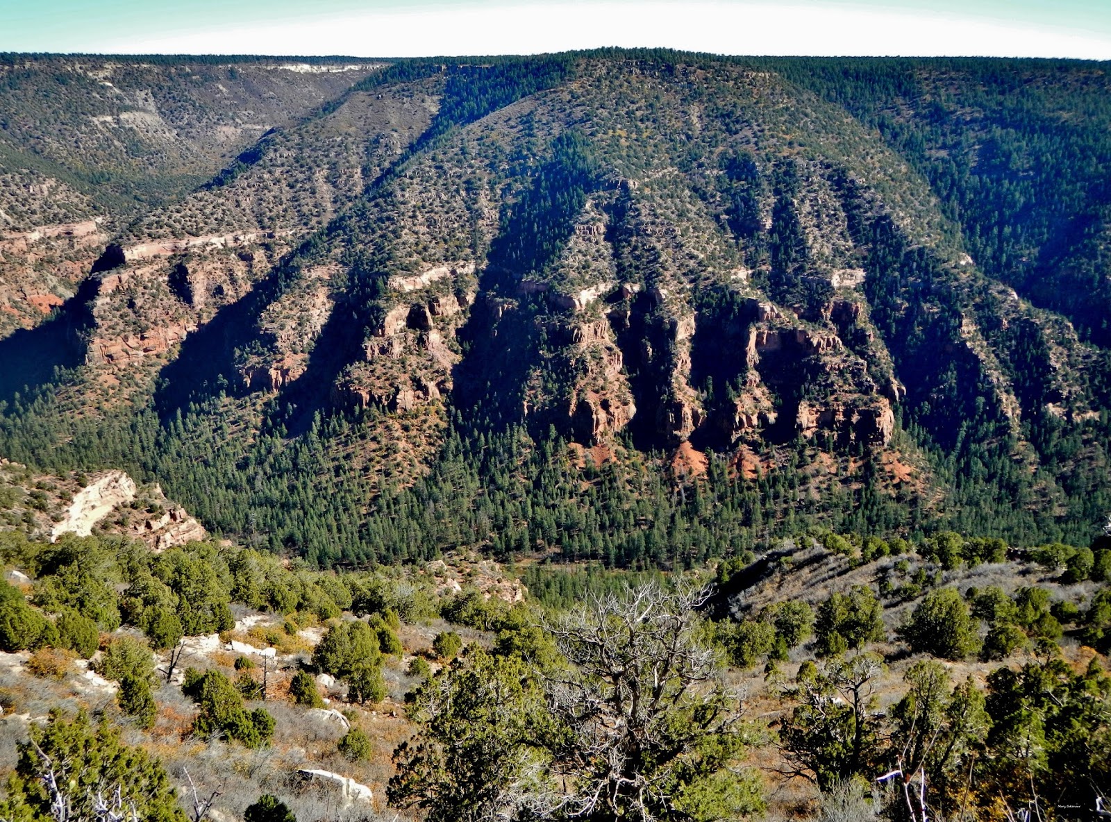 The Southwest Through Wide Brown Eyes Dolores Canyon Overlook via Dove