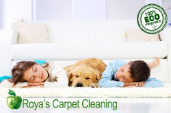 Royas Carpet Cleaning - $19/Room