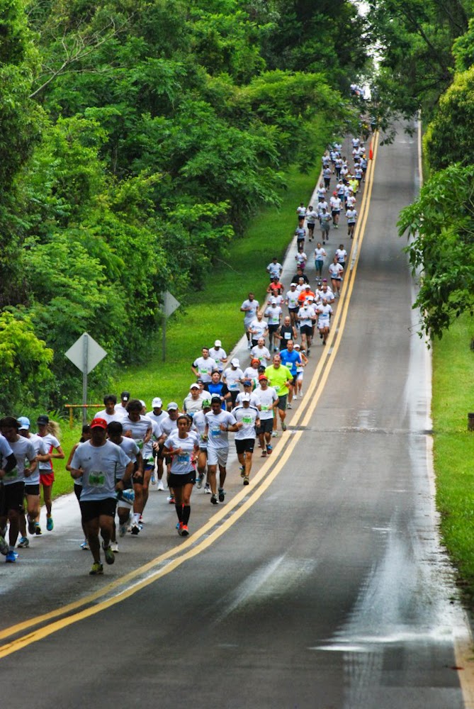 Media Maratón Iguazú 2014