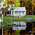 Pond Reflections