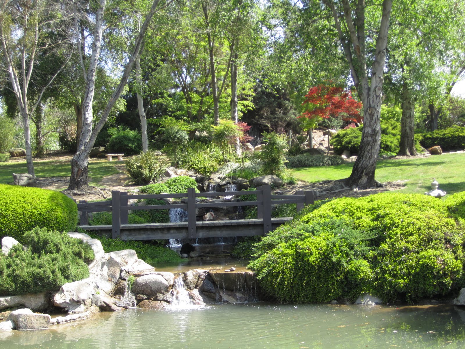 Life In Central California Shinzen Japanese Gardens