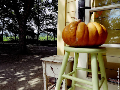 Preston Vineyards, Dry Creek Valley, Sonoma