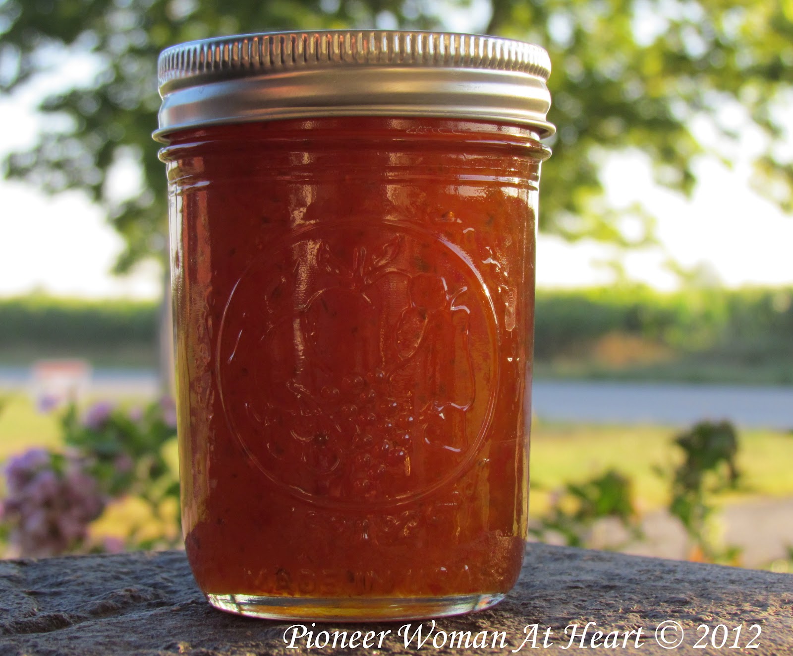 Pioneer Woman at Heart Apricot Jalapeno Jelly