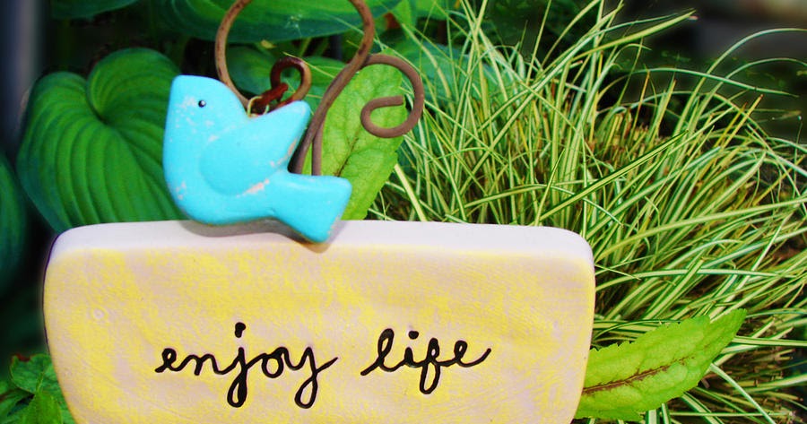 Never Expect Only Rejoice