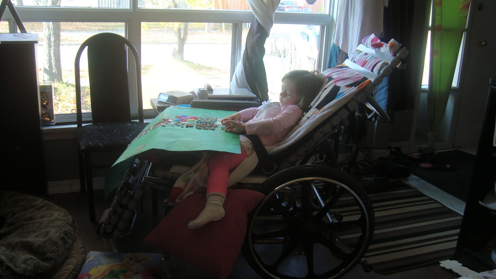 Team Kylee & Hip Dysplasia Awareness Must haves or helpful products