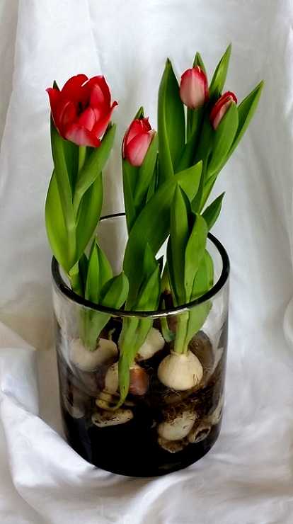 Winter Collage Https 2 Bp Blogspot Com Bg4jp9pxlba Wfbhm Zq1mi