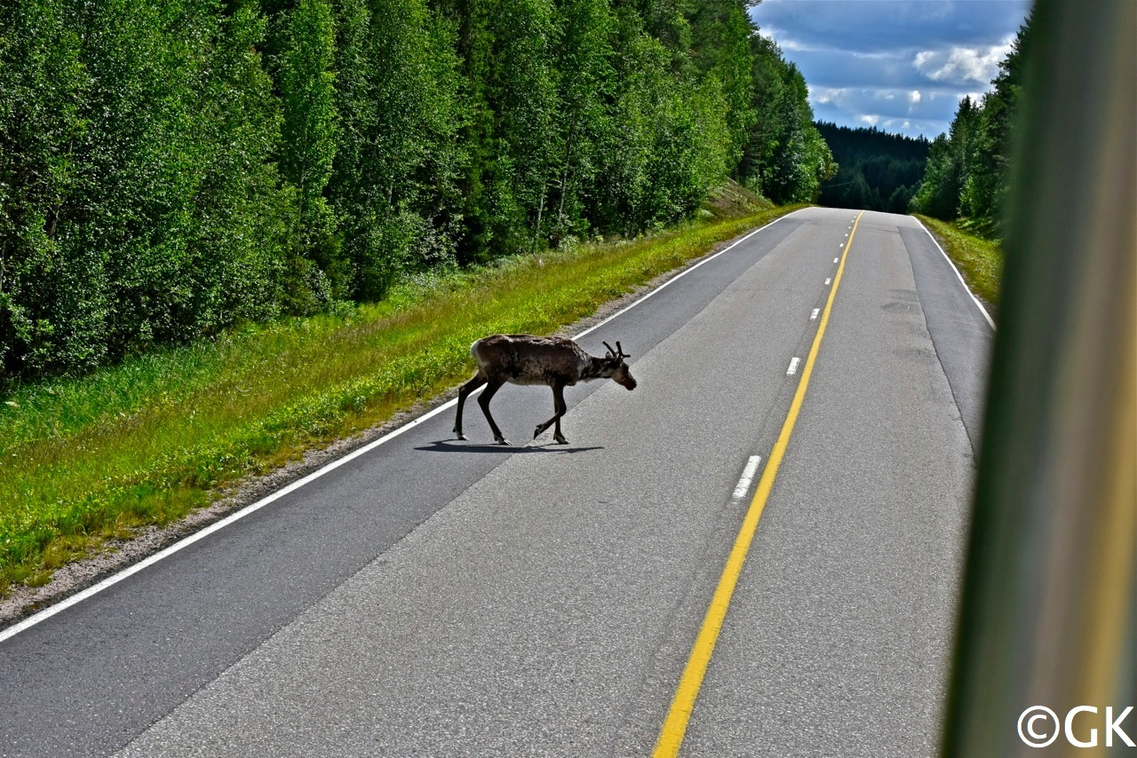 10. Juli - Das ist Lappland!