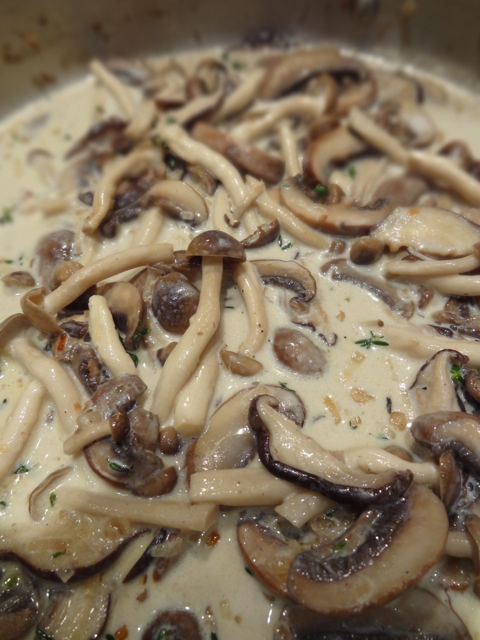 Scrumpdillyicious Tagliatelle with Wild Mushroom & Brandy Cream Sauce