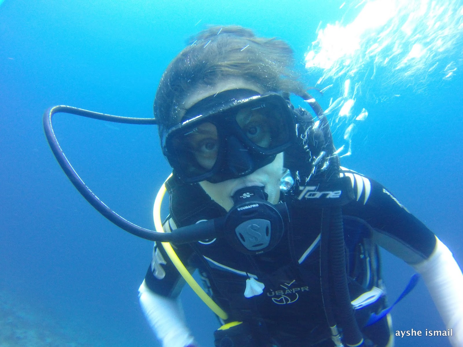 Diving in Oman Life outside the M25