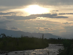 Atardecer  Selvático