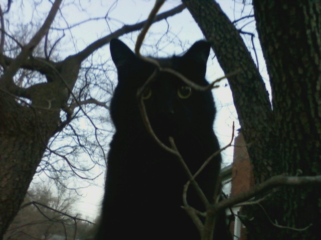 date slip definition