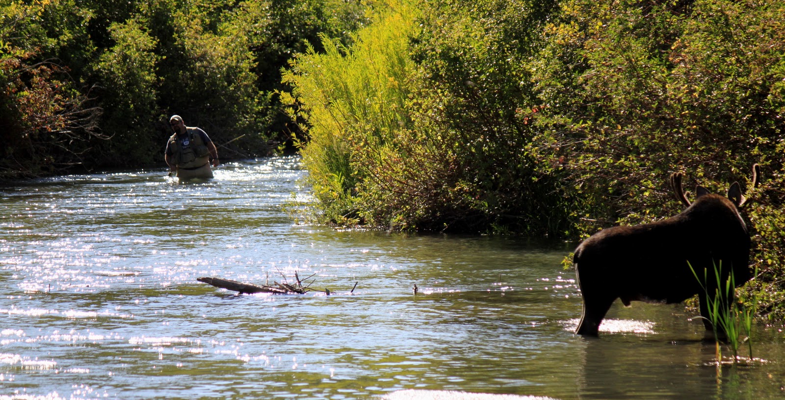 River Tales Blacksmith Fork Utah