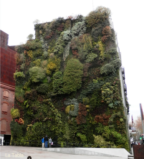 Jardín Vertical Caixa Forum