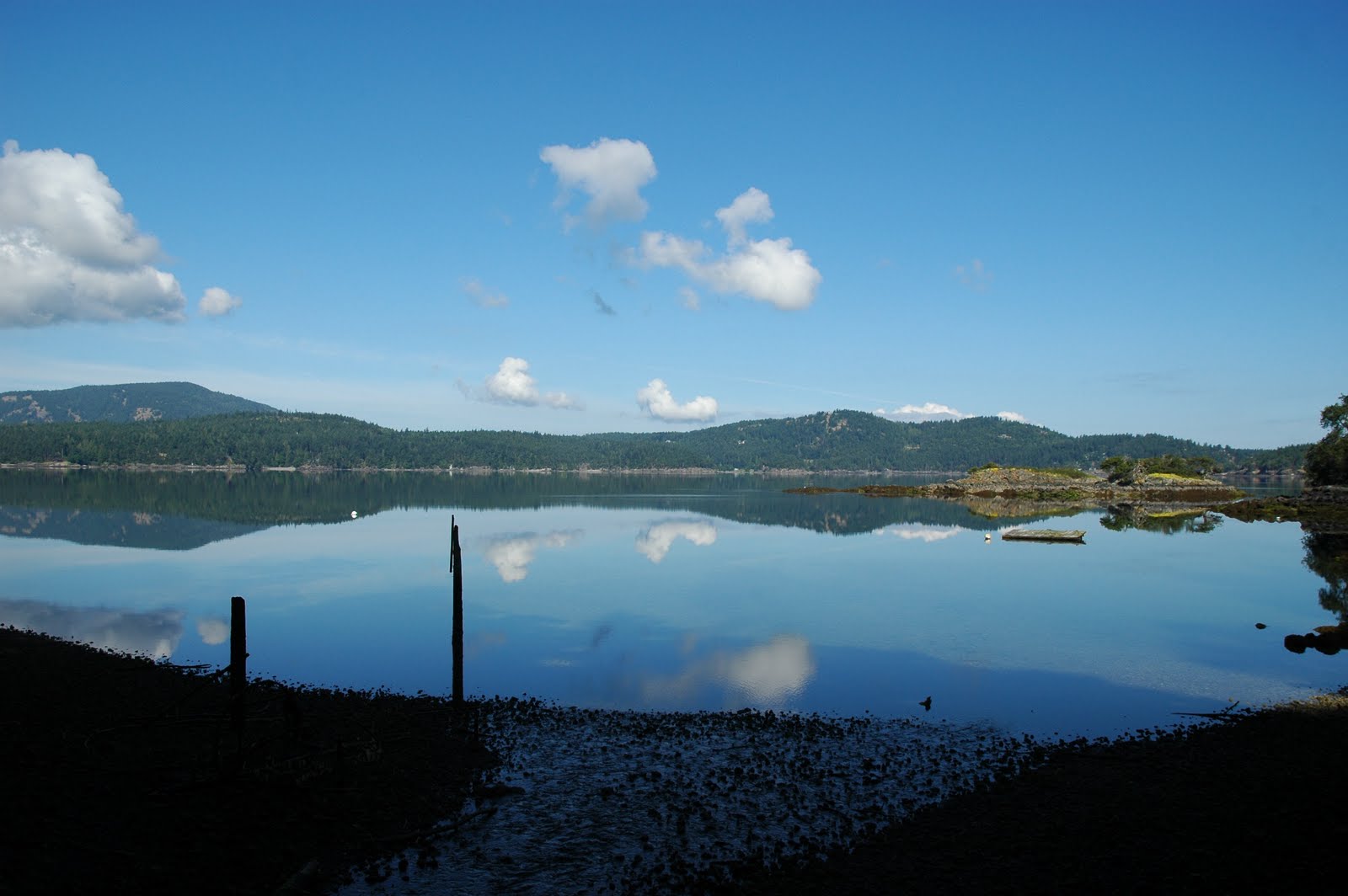 The Prep Cook Project Orcas Tour Doe Bay, Salmon and Oysters