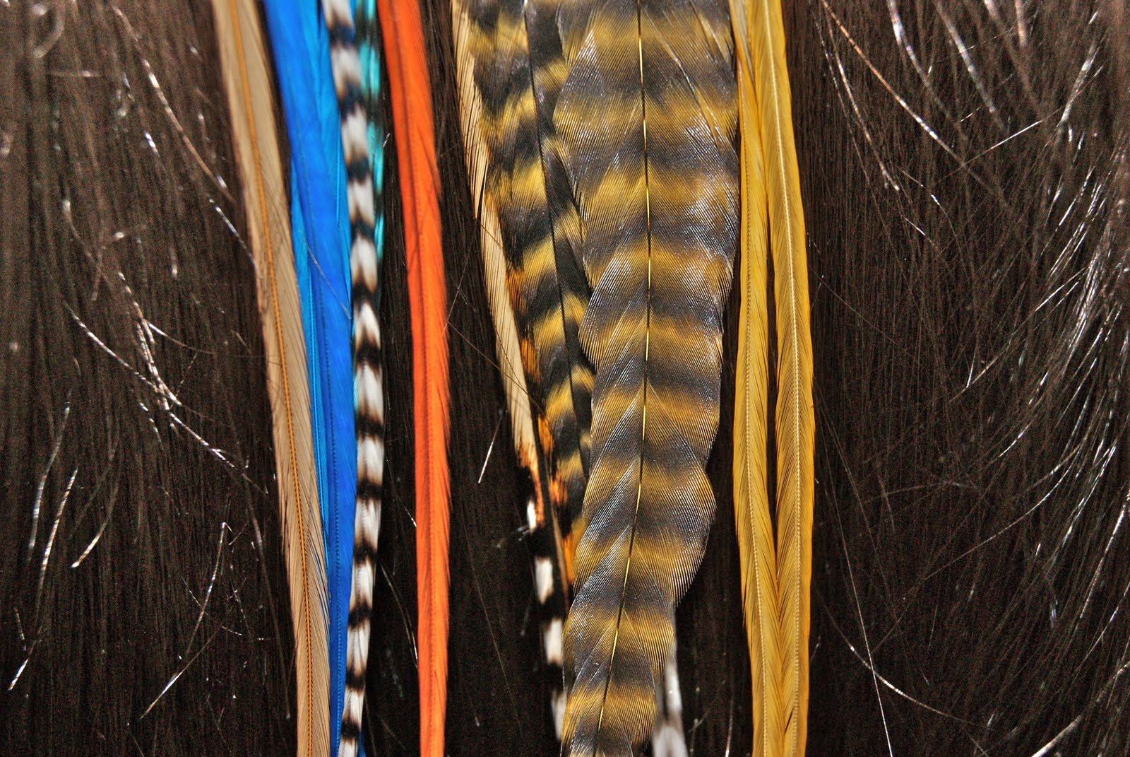 Belles and Rebelles Fine Featherheads