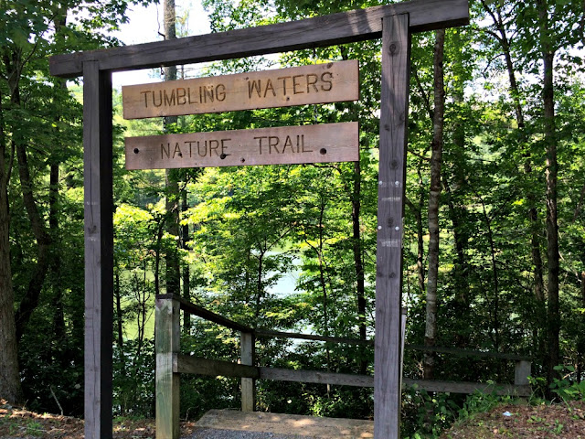 Tumbling Waters nature trail near Elijay, GA