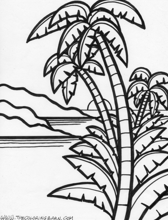 Kids Page Jungle Island Coloring Pages