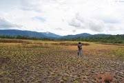 Surya Kencana dari Papua